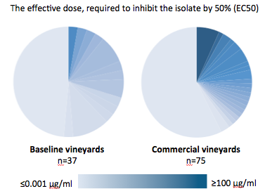 Fungicide resistance survey results from 2009